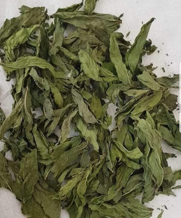 mint leaves